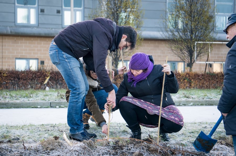 cyberhawk-tree-planting-facebook (2 of 3)-1